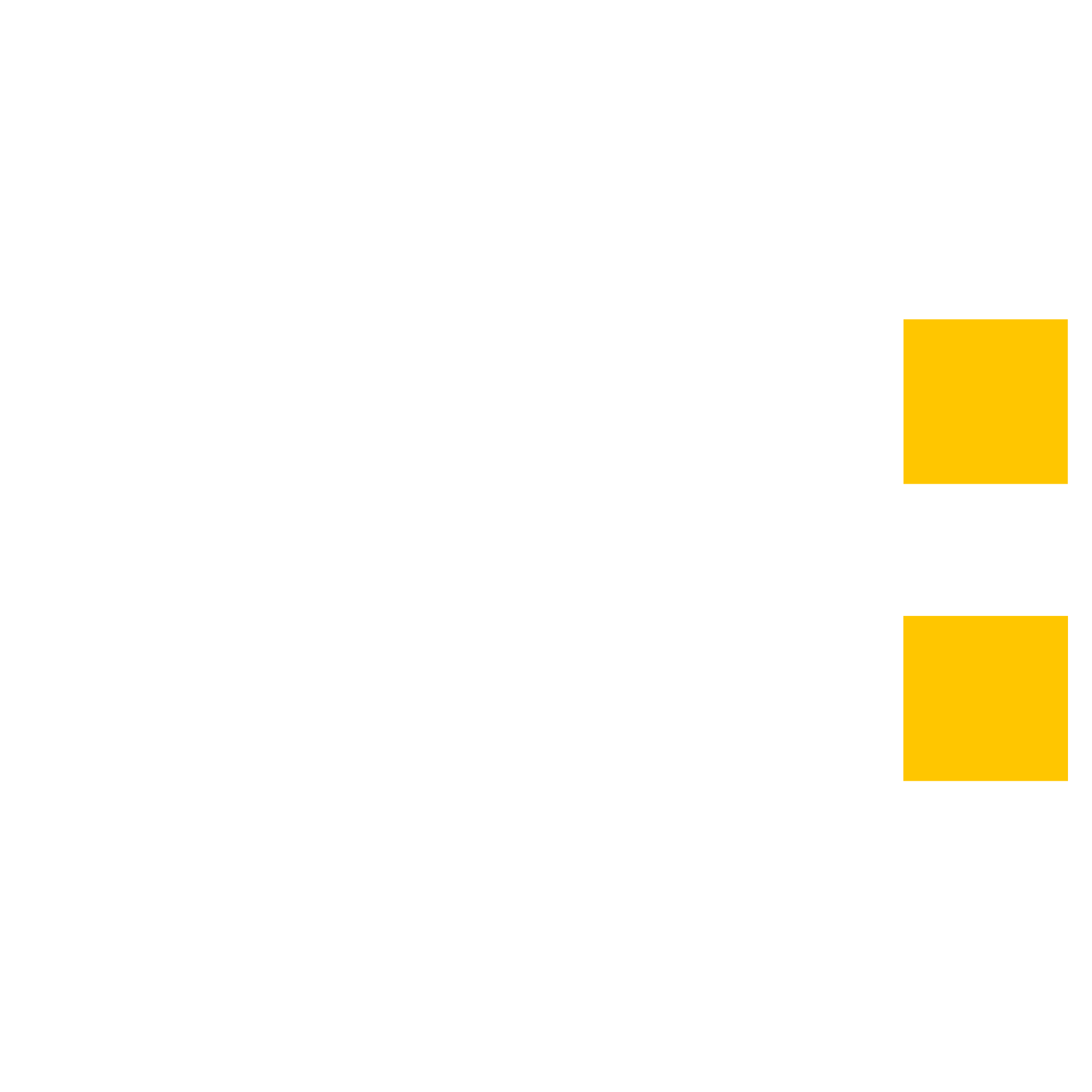 Logo Piccolo Vario Dev